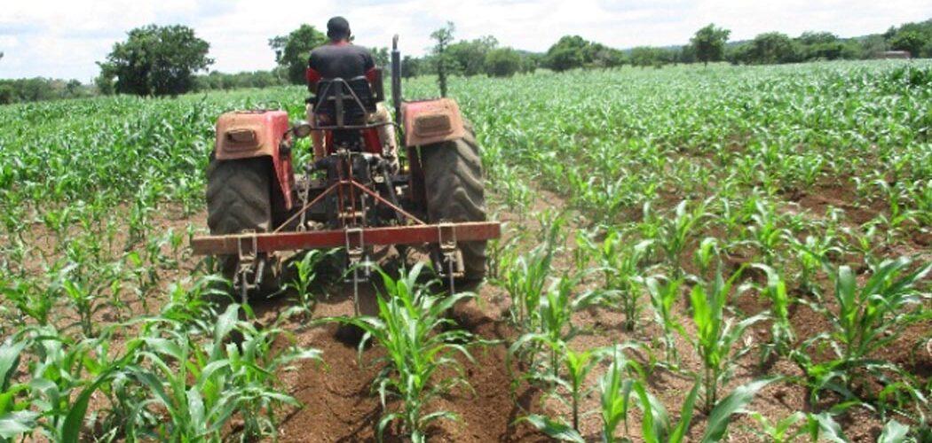 Impact of Ghanas Agricultural Mechanization