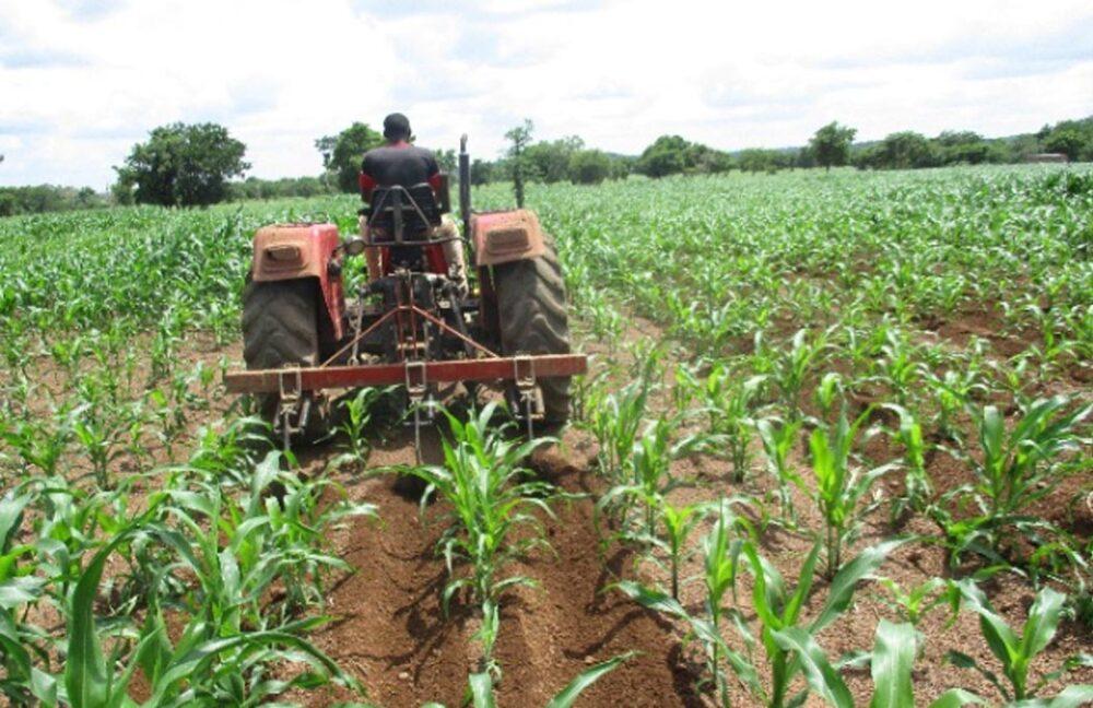 Impact of Ghana’s Agricultural Mechanization Services Center Program