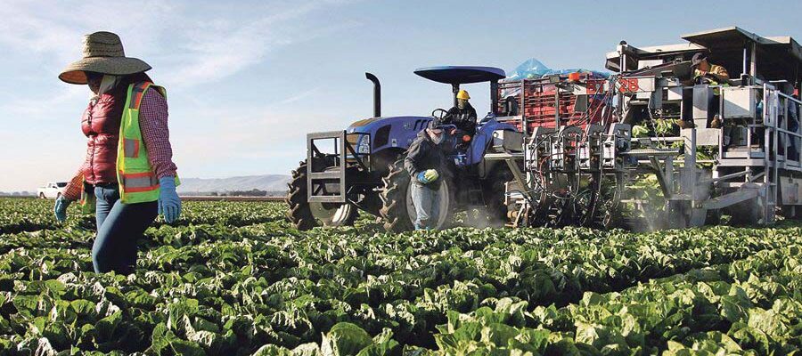 Potential and Constraints of Agricultural Mechanization in Ghana