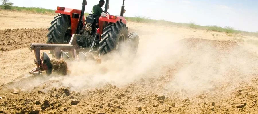 The Most Common Crops Grown with Tractors in Ghana Massey Ferguson Ghana The Most Common Crops Grown with Tractors in Ghana
