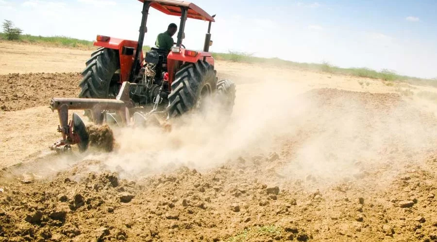 The Most Common Crops Grown with Tractors in Ghana